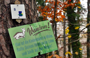 Durch den Alten Keller von Sternenfels nach Diefenbach | © Land der 1000 Hügel - Kraichgau-Stromberg