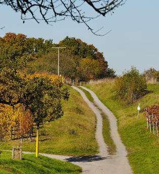 Durchs Blumenwiesental | © Land der 1000 Hügel - Kraichgau-Stromberg