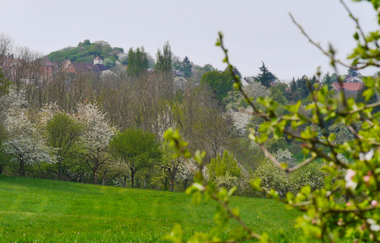 Durchs Blumenwiesental | © Land der 1000 Hügel - Kraichgau-Stromberg