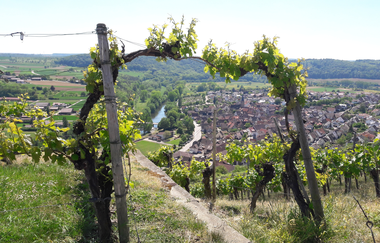 Enzschleifen-Rundweg | © Land der 1000 Hügel - Kraichgau-Stromberg
