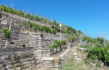 Enzschleifen-Rundweg | © Land der 1000 Hügel - Kraichgau-Stromberg