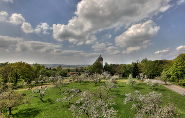 Ottilienberg Eppingen, umgeben von Wald, Frühlingsfoto | © Land der 1000 Hügel - Kraichgau-Stromberg