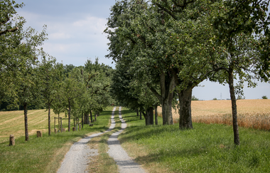 EP1 - Rund um den Ottilienberg | © Land der 1000 Hügel - Kraichgau-Stromberg