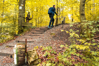 Himmelsleiter am Wander3Klang Eppingen | HeilbronnerLand | © Touristikgemeinschaft HeilbronnerLand