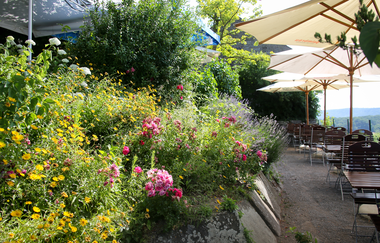 EP4 - Stadtbahnwandern Eppingen-Sulzfeld | © Land der 1000 Hügel - Kraichgau-Stromberg