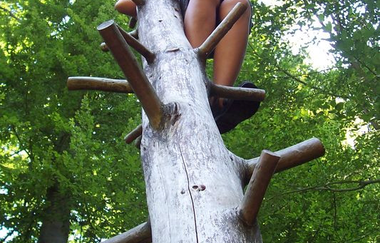 Eppinger Waldfühlpfad - Kletternder Junge auf Baumstamm | © Land der 1000 Hügel - Kraichgau-Stromberg
