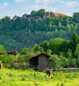 Erlebnistour 10: Grenzerfahrungen | © Liebliches Taubertal