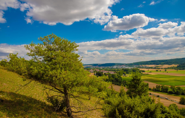 Erlebnistour 11: Taubertal und Gaubahn | © Liebliches Taubertal