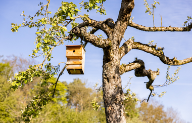 FT1 - Wander3Klang  - Große Tour | © lifecyclemag.de