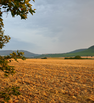FT2 - Wander3Klang  - Mittlere Tour | © Kraichgau-Stromberg Tourismus e.V.