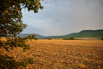 FT2 - Wander3Klang  - Mittlere Tour | © Kraichgau-Stromberg Tourismus e.V.