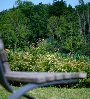 FT3 - "Wander-Dreiklang" - Kleine Tour | © Kraichgau-Stromberg Tourismus e.V.