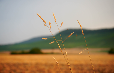 FT3 - "Wander-Dreiklang" - Kleine Tour | © Kraichgau-Stromberg Tourismus e.V.