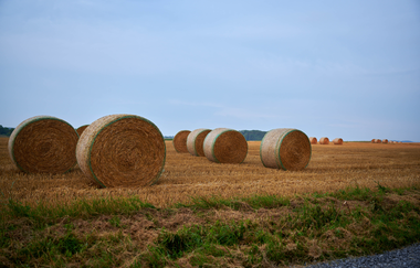 FT3 - "Wander-Dreiklang" - Kleine Tour | © Kraichgau-Stromberg Tourismus e.V.