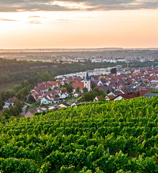 Gemmrigheimer Rundwanderweg | © Gemeinde Gemmrigheim