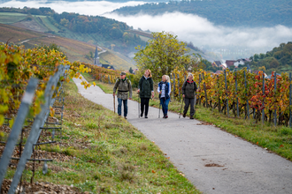Gesamtstrecke Panoramaweg | © Liebliches Taubertal