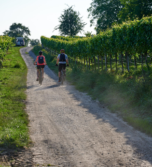 Fahrradweg durch die Weiberge | © Kraichgau-Stromberg Tourismus e.V.