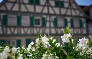 Fachwerkhaus in Mundelsheim | © Kraichgau-Stromberg Tourismus e.V.