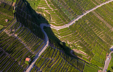 Weg durch die Weinberge | © Kraichgau-Stromberg Tourismus e.V.