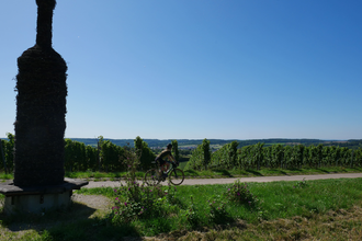 Fahrradweg durch die Weinberge | © Kraichgau-Stromberg Tourismus e.V.