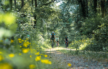 Fahrradweg durch den Wald | © Kraichgau-Stromberg Tourismus e.V.