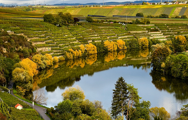 Blick auf den Neckar | © GravelDeluxe