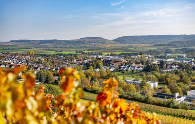 Blick auf Güglingen | HeilbronnerLand | © faktorzwei GmbH Thorsten Faust