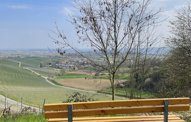 Aussichtspunkt Dachbergweg Haberschlacht | © Stadt Brackenheim | Celina Ponto