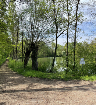 Haberschlachter Rundwanderwege - Forstbachseeweg | © Stadt Brackenheim | Celina Ponto
