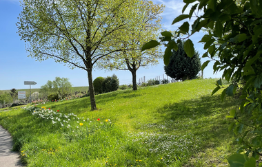 Haberschlachter Rundwanderwege - Forstbachseeweg | © Stadt Brackenheim | Celina Ponto