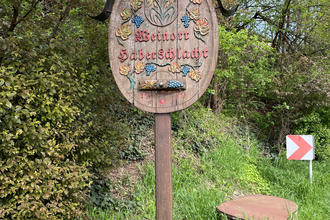 Haberschlachter Rundwanderwege - Heuchelbergweg | © Stadt Brackenheim