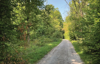 Haberschlachter Rundwanderwege-Rosengartenweg | © Stadt Brackenheim | CP