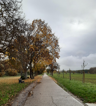 Hammelsgraben-Trail | © Land der 1000 Hügel - Kraichgau-Stromberg