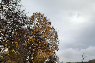 Hammelsgraben-Trail | © Land der 1000 Hügel - Kraichgau-Stromberg