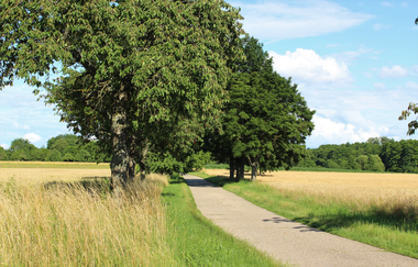 Hammelsgraben-Trail | © Unbekannt