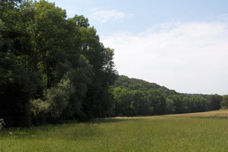 Hasenlauf-Rundweg | © Land der 1000 Hügel - Kraichgau-Stromberg