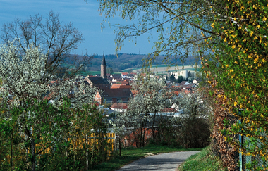 Historischer Stadtrundgang in Kraichtal-Münzesheim | © Land der 1000 Hügel - Kraichgau-Stromberg