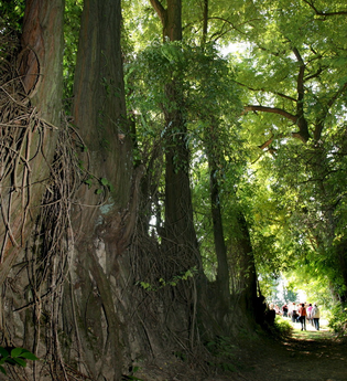 Hohlwegwanderung ab Bruchsal - Route 1 | © Land der 1000 Hügel - Kraichgau-Stromberg