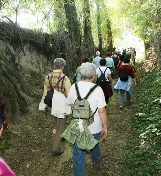Hohlwegwanderung ab Bruchsal - Route 3 | © Land der 1000 Hügel - Kraichgau-Stromberg