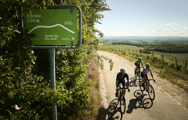 Radfahrende fahren am Hörnle bei 320 m Höhe durch Weinberge im Land der 1000 Hügel. | © Tourimia Tourismus GmbH | Stefan Leitner Photography