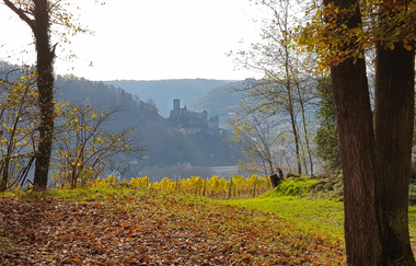 Jakobswanderweg 2. Etappe | © Unbekannt