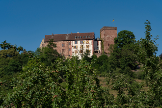 Jakobswanderweg 4. Etappe | © Liebliches Taubertal
