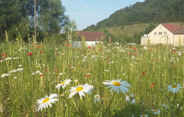 Jakobswanderweg 4. Etappe | © Liebliches Taubertal