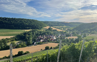 Jakobswanderweg 7. Etappe | © Liebliches Taubertal