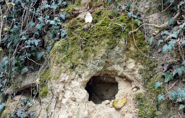 Jubiläums-Tour Kraichtal | © Land der 1000 Hügel - Kraichgau-Stromberg