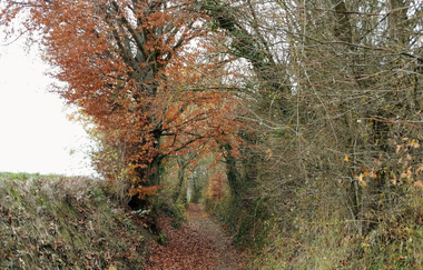 Jubiläums-Tour Kraichtal | © Land der 1000 Hügel - Kraichgau-Stromberg