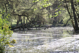 K1 - Kraichtal-Oberöwisheim Familienwanderweg | © Stadtmarketing Kraichtal