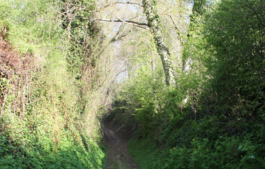 K1 - Kraichtal-Oberöwisheim Familienwanderweg | © Stadtmarketing Kraichtal