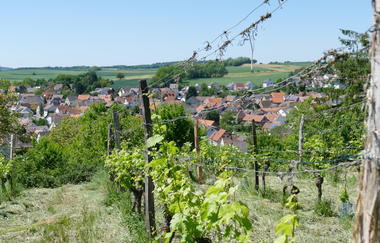 K2 - Kraichtal-Menzingen Familienwanderweg | © Stadtmarketing Kraichtal