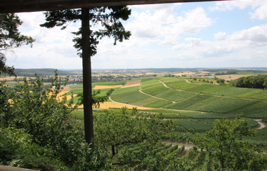 KB3 - Kürnbach-Eppinger Linien Rundweg (kurz) #Schwarzrieslingdorf | © Land der 1000 Hügel - Kraichgau-Stromberg
